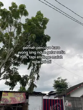 #jowokuciwoo #fyp 