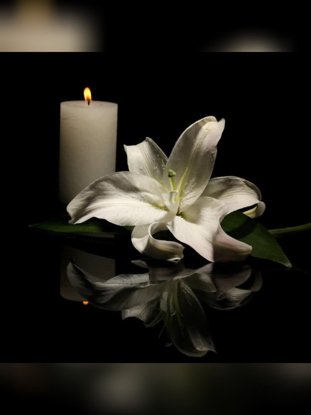 Việt Phương Thoa cập nhật ảnh đại diện hoa sen trắng cùng dòng trạng thái: 