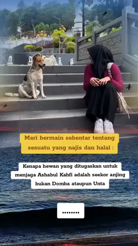 yang terlihat baik di hadapan manusia itu blm tentu baik di hadapan Allah..anjing contohnye,die di anggap najis tp die adalah hewan yg pling setia kpd tuannye..🙏🏼 di riwayatkan..anjing itu ikut masuk syurga brsama ashabul kahfi 7 pemuda yg tertidur selama 309 thn di dlm gua dan di jaga oleh seekor anjing yg mngikuti mereka dan mendapatkan Rahmat-Nya.. #quotesmotivasi  #pecintakopihitam  #fypシ゚viral  .