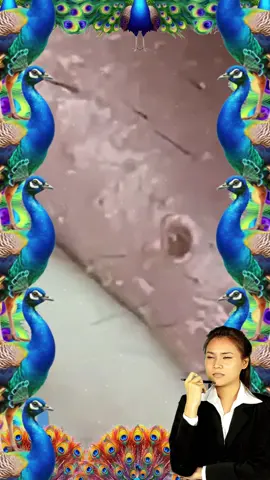 é gratificante assistir e é hora de dormir😴💤#satisfyingvideo #extractions #foryoupag #cystpopping #tiktokviral