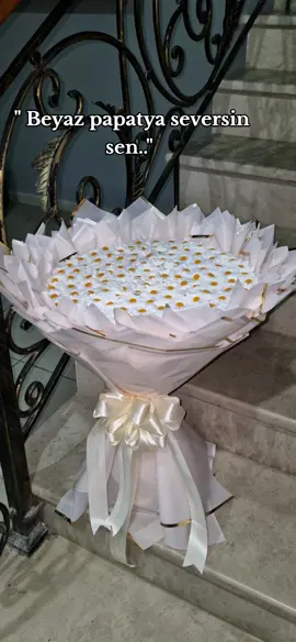 121 papatya 🤍🌼#papatyam #azerbaycankesfet #kewfett #oglum #maviş #yasamal #qizil #goy #vetenim #sifariş #qarabagazerbaycandi #papatya 