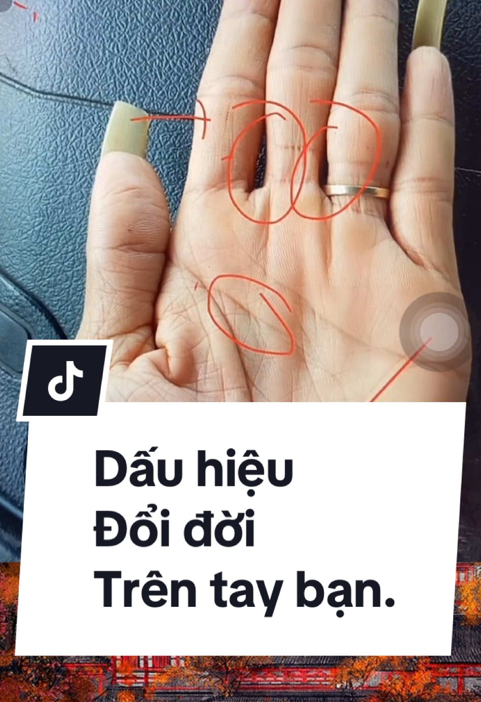 Dấu Hiệu Này Trên Tay Chỉ Người Có Số Đổi Đời!#favuli #xemchitay #chitay 