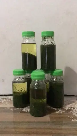 MINYAK HERBAL PAPUA LANGSUNG CEK OUT KERANJANG KUNING BOSKU