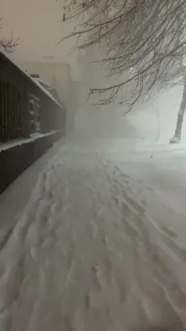 #foryoupagе #peacefull #snow #islam #nature #quran #fog 