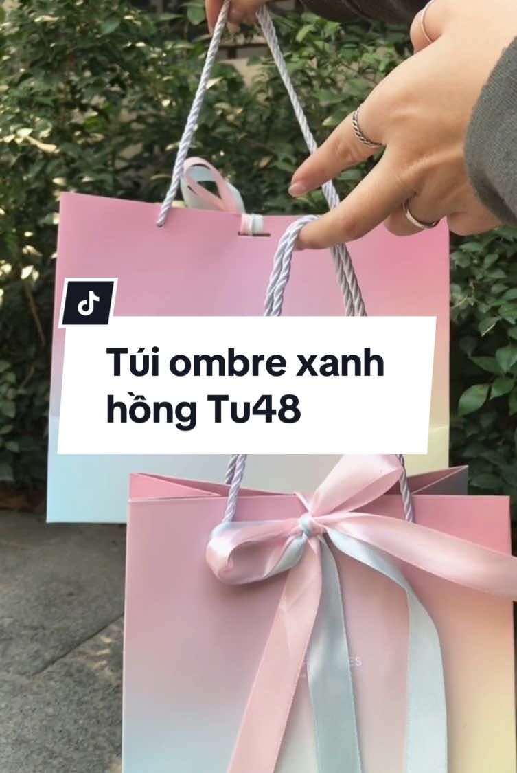 Túi màu sắc nổi bật Ombre xanh Hồng bắt mắt TU58 #tuidungqua #tuiqua #tuigiay #xachdo #tuiquatet 