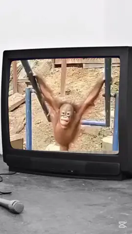 😘😍❤ #vuivemoingay #TikTokGiaiTri #giaitri #haihuoc #funny #funnyvideo #fyp #xuhuong #theanh28 #xuhuong2025 #happynewyear #109