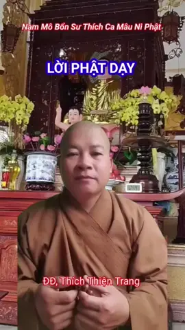 Phật chỉ rõ con đường Hạnh Phúc, Phải tự mình thắp đuốc mà đi ##nammoadidaphat #nammobonsuthichcamauniphat #nammoquantheambotat #phatphapnhiemmau 