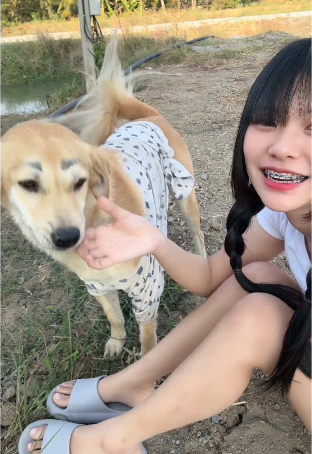 หมาก็น่ารักนะเนี่ย55555😝#ฟีดดดシ 