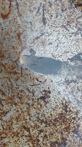 #sắp hết 1 năm rồi