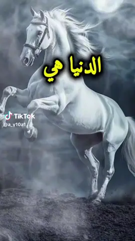 #الشعب الصيني ماله حل