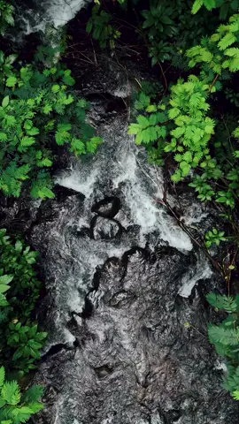 Sungai adalah urat nadi kehidupan. Seperti batu-batu yang kokoh di dalamnya, sungai menopang ekosistem yang luas dan kompleks. Maka dari itu, peran sungai sebagai sumber air bersih pun perlu dijaga. Mulai dari langkah kecil seperti: Tidak membuang sampah dan limbah ke sungai Tidak meracuni ekosistem sekitar sungai Ikut serta dalam kegiatan bersih-bersih sungai Ayo kita jaga kelestarian sungai untuk kini dan nanti! #pengikut  #alam  #fyp  #fyppppppppppppppppppppppp 