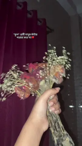 “ফুল” প্রেমী মানুষ কাঁটার পরোয়া করে না!❤️(ig:_samu.bb_)#foryou#viral#foryourpage#fyb#🌻#pakhii💌#_saimuuu_💋#মায়া_💙 