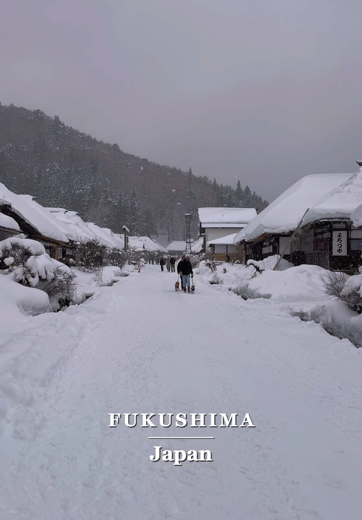 📍Ouchi-juku / 大内宿☃️ 🗾 Fukushima🇯🇵 I was moved by the snow-covered, unspoiled Japanese scenery in Fukushima☃️😭 福島にある雪化粧した日本の原風景に感動しました☃️😭 ✼••┈┈┈┈••✼••┈┈┈┈••✼ ✔🗓2025 / 1 ▪️Beautiful places in japan🇯🇵 ▪️Please check out➴⡱@matcha.camera ▫️𝙲𝚊𝚖𝚎𝚛𝚊:  iPhone15promax / Insta360 Flow Pro ✼••┈┈┈┈••✼••┈┈┈┈••✼ #japan #japan🇯🇵#japantravel #japantrip #anime #japangram #fukushima #fukushima_trip #aizuwakamatsu #beautifuljapan #ouchijuku #snow #traveljapan #tripjapan #japan #visitjapan #福島 #会津 #大内宿 #福島県 #福島旅行 #福島観光 #会津若松 #雪景色 #雪 #日本の風景 #冬