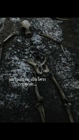 #อย่าดัง #แคปชั่นคําคม #เอาขึ้นหน้าฟีดที #ยืมลงสตอรี่ได้ #tiktok #ฟีดดดシ 