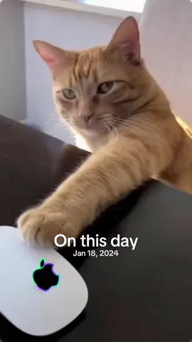#onthisday 