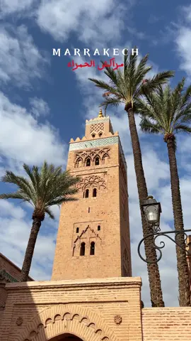 Marrakech City 🇲🇦🫶🏽✨ #marrakech #morocco #مراكش #المغرب #fyp #marrakesh #marrakech🇲🇦morocco  
