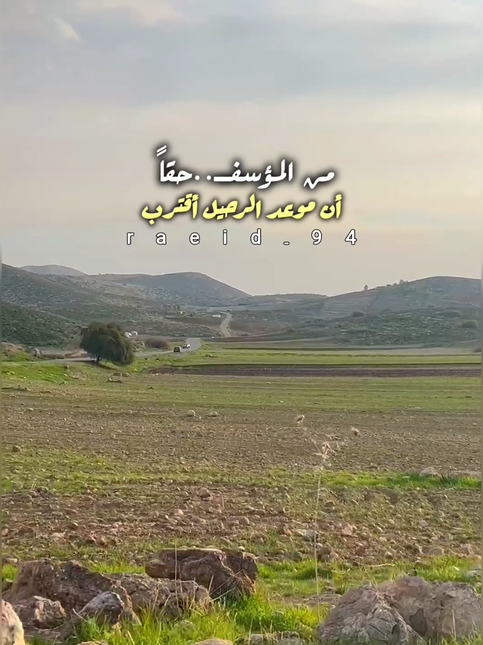 كل شي كان .. قاتلاً .. لكنني لم أمت👏