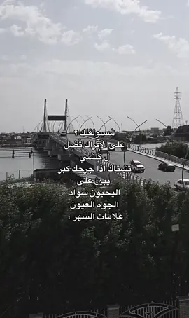 #شعر #كب_كات 