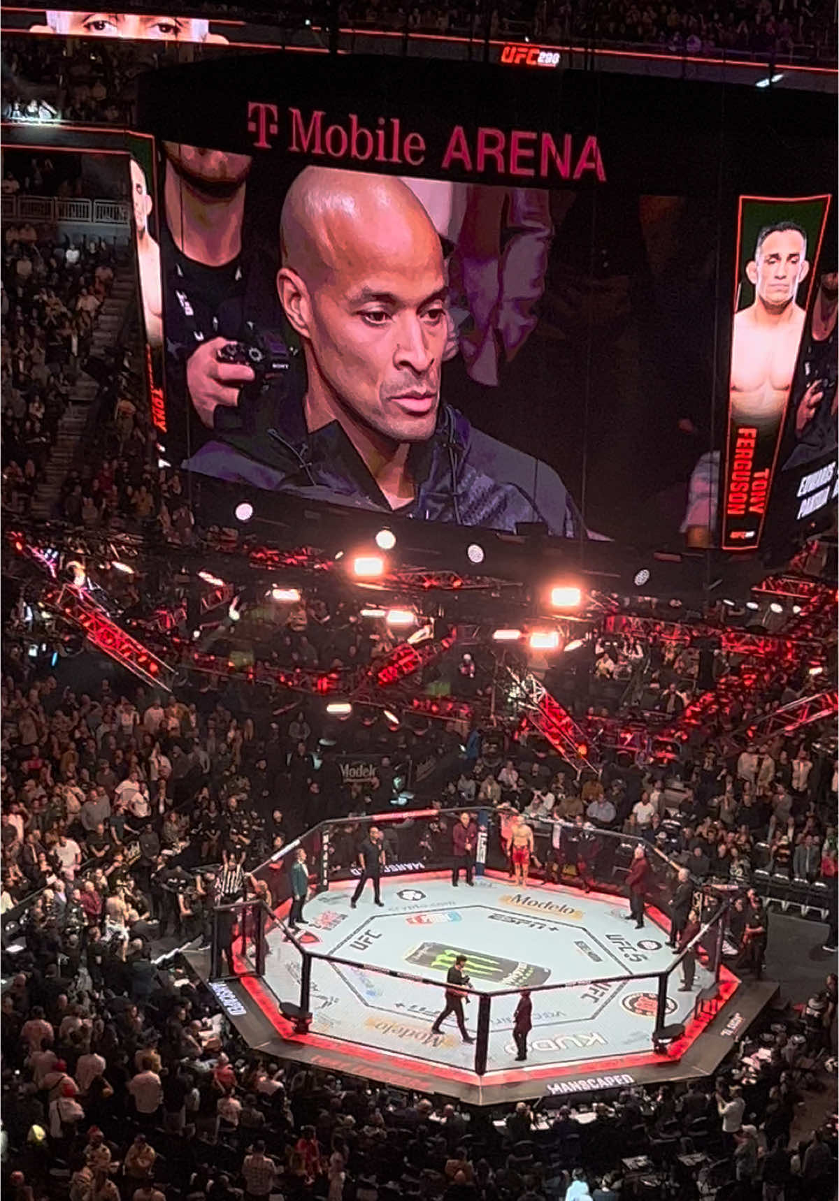 😳 #davidgoggins #stayhard #UFC #rare #tonyferguson 