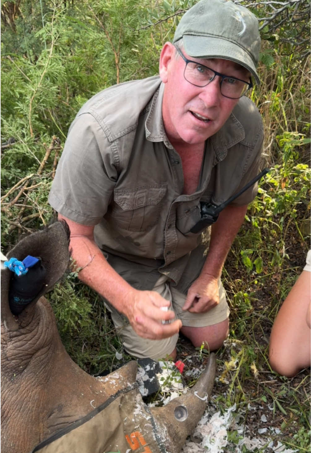 It's incredible to see how technlogy helps to track, protect and add an additional security layer to this endangered species! 🦏 🌍 #fyp #endangered #ivancarter #conservation #wild 