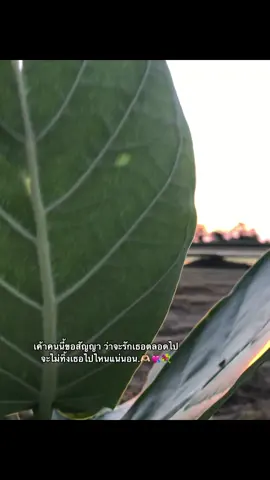#เธรด #fyp #เธรดคลั่งรัก #เธรดต้นกล้า💐🤍 #เธรดรัก #แท็กบอกความรู้สึก #fypシ゚ 