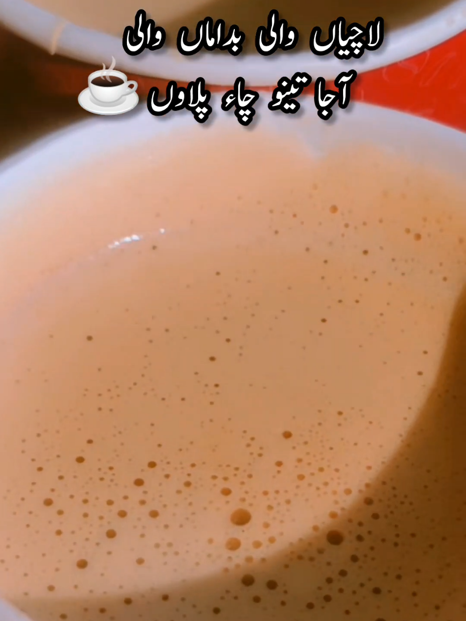 لاچیاں والی بداماں والی  آجا تینو چاء پلاوں#chai #cha #funny #funnyvideos #funy #justforfun #viral #viralvideo #100k #tea #tealovers #chainsawman #☕ #چاے #foryou #firyoupage #foryoupage #fyp #treding #😂😂😂 @TikTok @TiktokPakistanOfficial @tiktok creators @چائے کے دیوانے❣️ @چائے اور محبت @Tealover #funnyvideo #fypviralシ #fyppppppppppppppppppppppp #سرائیکی #saraiki #viral_video 