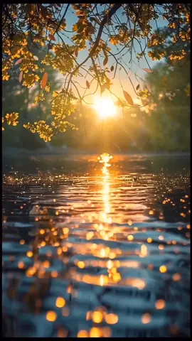 #الشعب_الصيني_ماله_حل😂😂 #البرايجي_34💪❤ 