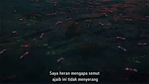 wkwkwkwk,Langsung Panik Semua🤣😂#btth #donghua #donghuaedtz #jedagjedug #xiaoyan #ziyan #tiktok #fyp #viral 