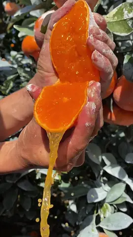 OMG😱so juicy again?🍊😋#usa #fruit #asmr 