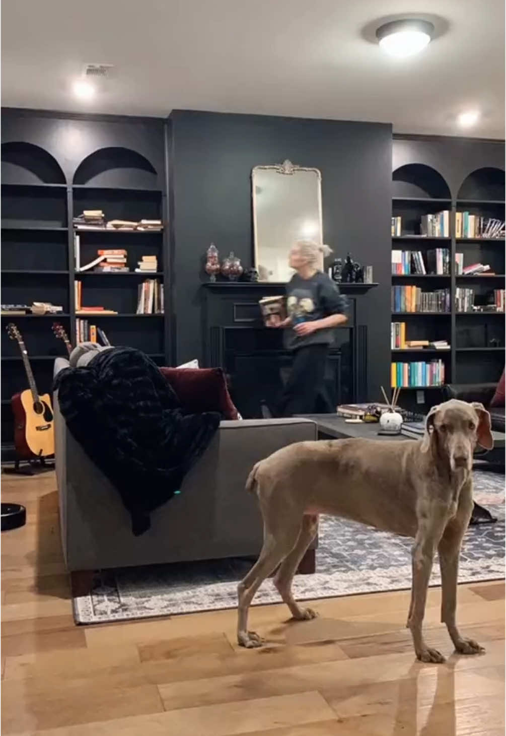 On a farewell tour reposting my greatest hits, from April 2021, part 1 of my DIY bada** built-in bookshelves. Thank you all 🖤🤘#byetiktok #tiktokban #greatesthits #DIY
