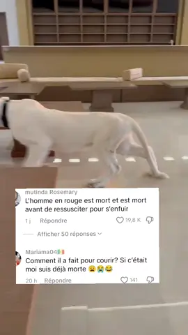 Être ami d'un riche aussi c'est compliqué hein 😅😅 comment tu peux laisser le lion saluer tes amis au salon ? 😂😂😂