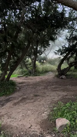 #قران #قران_كريم #قران_كريم_ارح_سمعك_وقلبك #اكسبلور #h #مالي_خلق_احط_هاشتاقات #الشعب_الصيني_ماله_حل😂😂 #تصويري #ptiofficial #trending #fakesituati #uUr #مشاهير_تيك_توك #zxycba #kesfet #kesfet #wow 