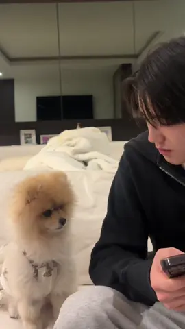 กินด้วยได้ม้าย 😄💕💕🧸👦🏻 #คุมะจัง5ขวบ4เดือน #PEEMTANAT #ภีมธนัช