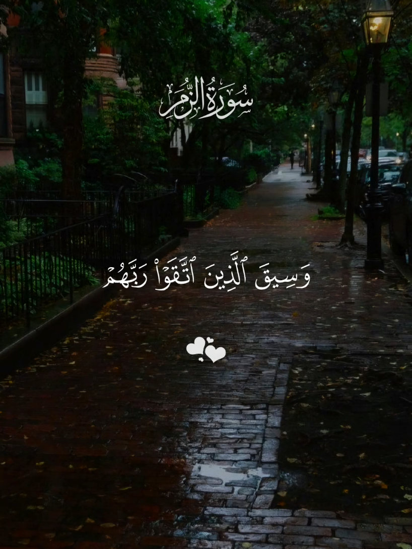 سورة الزمر 💚🎧#خالد_الجليل #قران #quran #سورة_الزمر#قرآن_بصوت_جميل #قرآن_كريم_راحة_نفسية #قرآن_كريم_أرح_قلبك_وسمعك #اللهم_صل_وسلم_على_نبينا_محمد #ماهر_المعيقلي #فارس_عباد #ياسر_الدوسري #احمد_العجمي #محمود_صبحي 