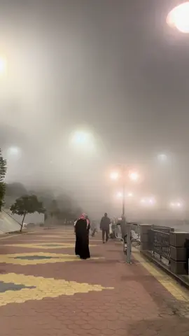 ليلة من ليالي الشتاء البارده❄️🩵#ابها #ابها_الان #ممشى_الضباب #اكسبلور 