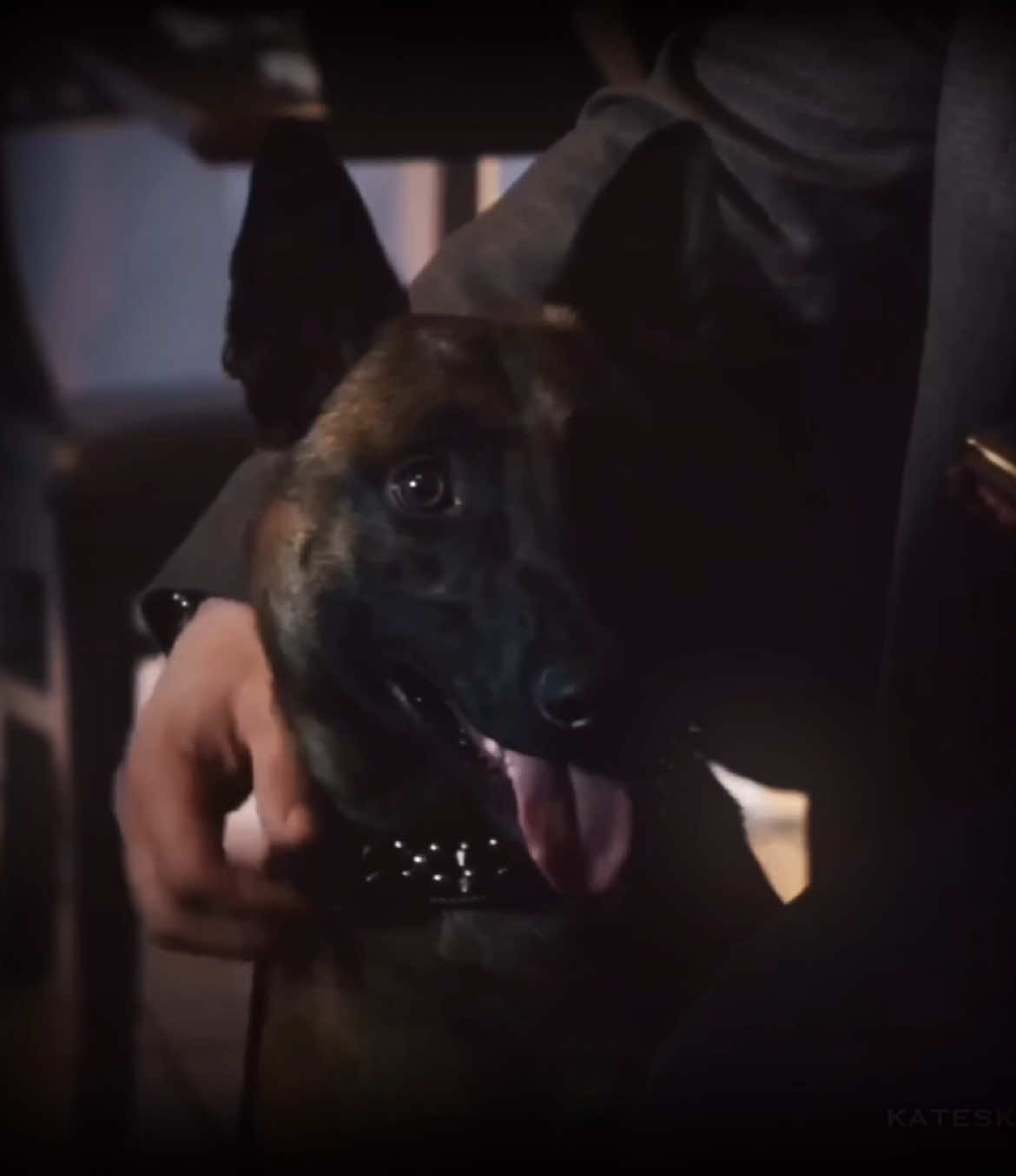 #SAMEENSHAW & #BEAR no because why are they so cute ☹️☹️ [ac: @maddie 🎧  spc: youtube]  #sameenshawedit #bearedit #shawandbear #sameenshawedits #sarahshahi #sarahshahiedit #personofinterest #personofinterestedit #personofinterestedits 