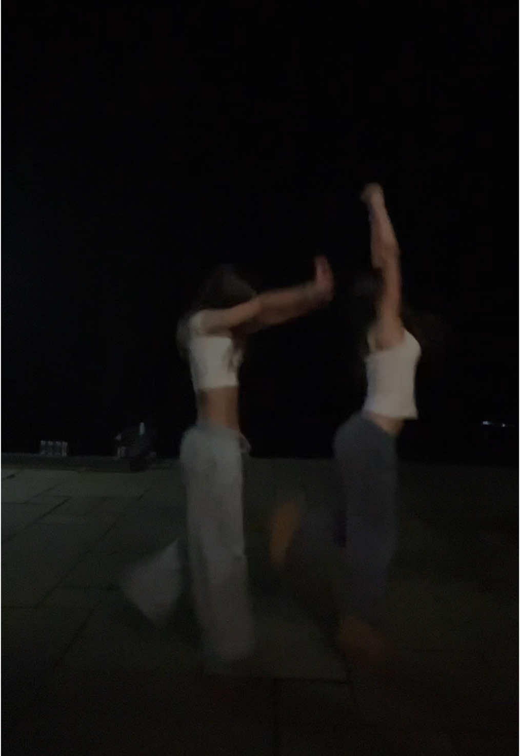 fly her to new york 🗽🎉#dance #newyork #dancetok #duo #girly #blowup #bestfriend #fyp #insync #foryou #fitcheck #famous 
