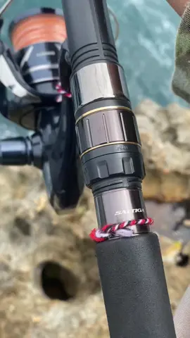Impian para angler💫  #fyp #fypシ゚ #storymancing #mancingmania #mancing #casting #poping #daiwa #shimano #landbasedfishing #mancingmaniamantap🐟🎣 