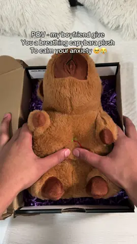 In love with having a breathing capybara plush toy 🧸😭🥹😍#capybara #capybaralover #stuffedanimals #anxiety #plushtoy #breathing #girlfriend #