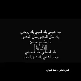 Ali Bahr🪄