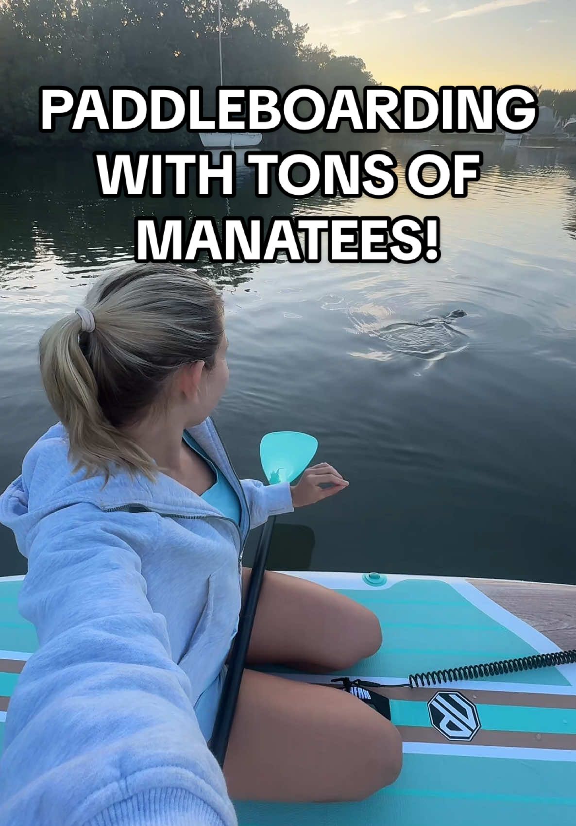 last TikTok before the ban😭 follow on IG & YT to stay connected 😢 I’ll be posting more of my Florida Keys & travel content over there. I’ll miss you TikTok!😭 #floridakeys #paddleboarding #manatees #crocodile 