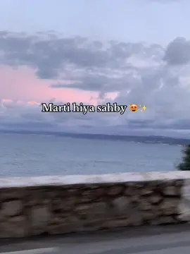 Martii hiya sahby #راي_جزائري #fyp #فيديوهاتي_تصاميمي🎶🎬 #اغنية_تيك_تو #ترند_تيك_توك #اغنية_تيك_توك #فيديوهاتي_تصاميمي🎶🎬 
