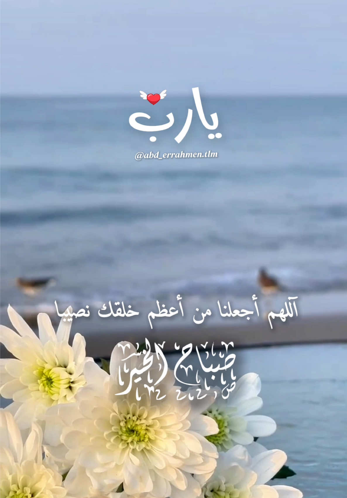 اللهم في هذا الصباح أجعلنا من أعظم خلقك نصيباً  #دعاء #دعاء_جميل #دعاء_الصباح #صباح_الخير #اللهم_امين_يارب_العالمين #يارب🤲 #❤️ #الاحد 