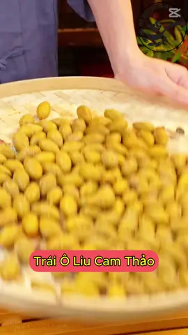 Thưởng thức ô liu cam thảo – Món ăn kết hợp giữa sự tươi ngon và bổ dưỡng