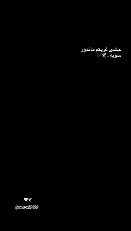 #CapCut #تر #fypシ #اكسبلورexplore #اكسبلور #تصويري📸 #viral 