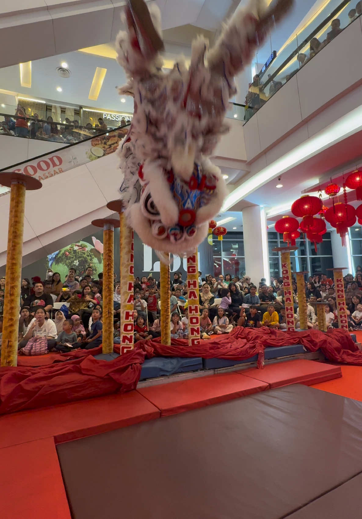 Barongsai Salto setinggi 1,7m #konghahong #barongsai #liondance #舞狮 #imlek2025 #salto 