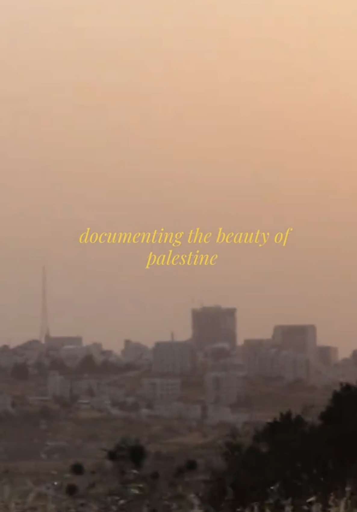 an ode to the homeland 🍉  #tiktok #falestine 