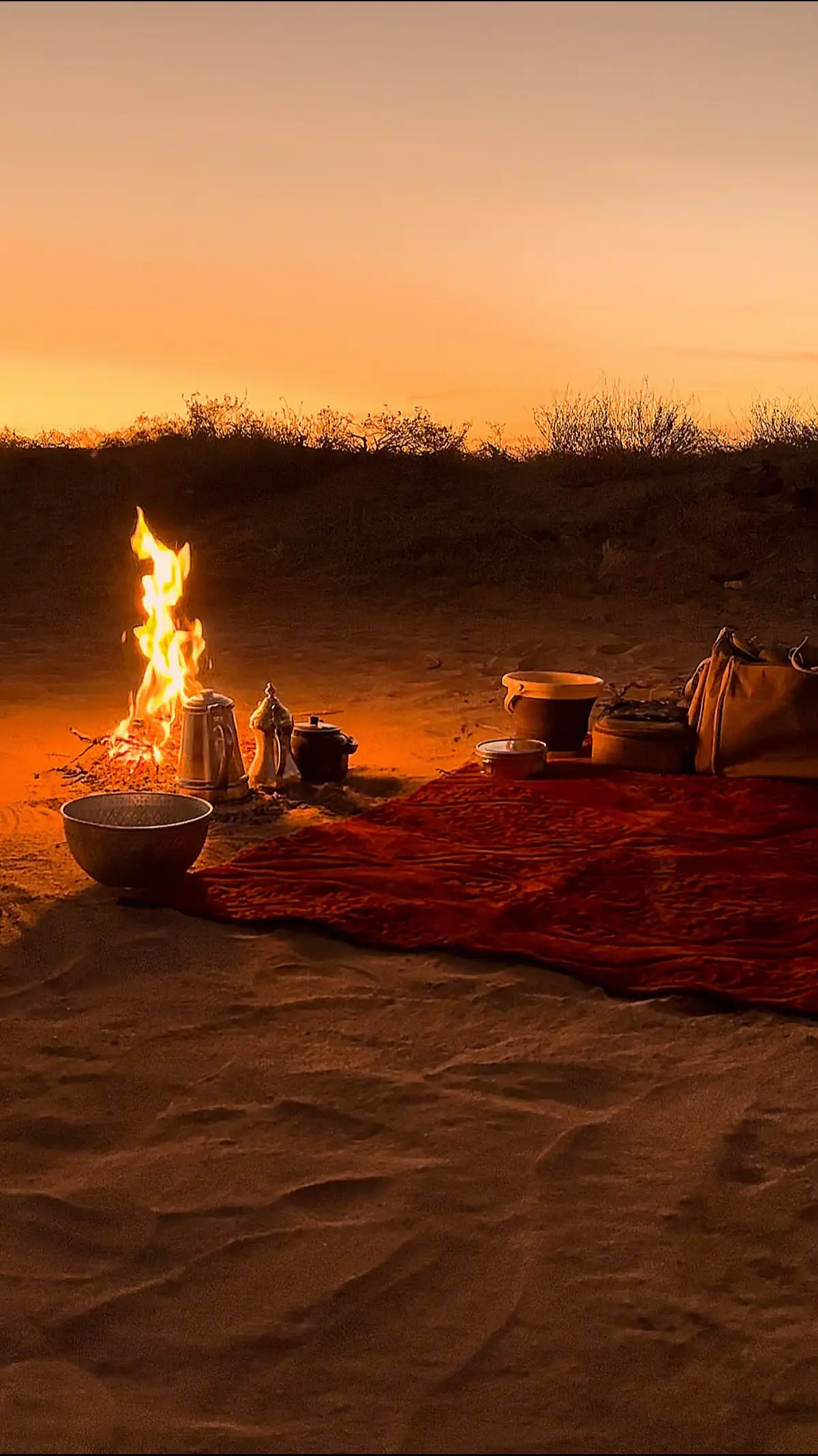 #جواء_الشتاء#البر#كشته#قمراء#اكسبلور#شبة_نار#تصوير_ليلي📸#اكسبلورررر#الشعب_الصيني_ماله_حل😂😂 