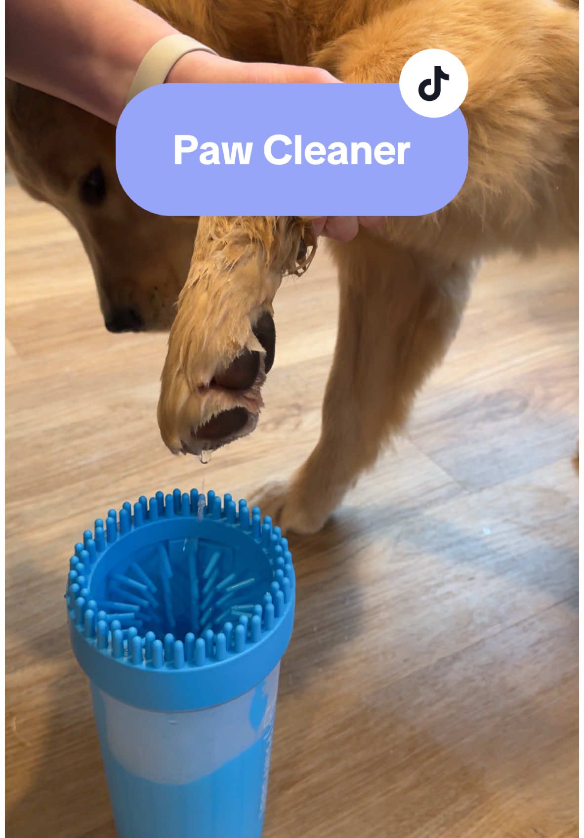 Such a game changer  #goldenretriever #pawcleaner #dogsoftiktok #paw #dogpaws #LiveOutlandish 