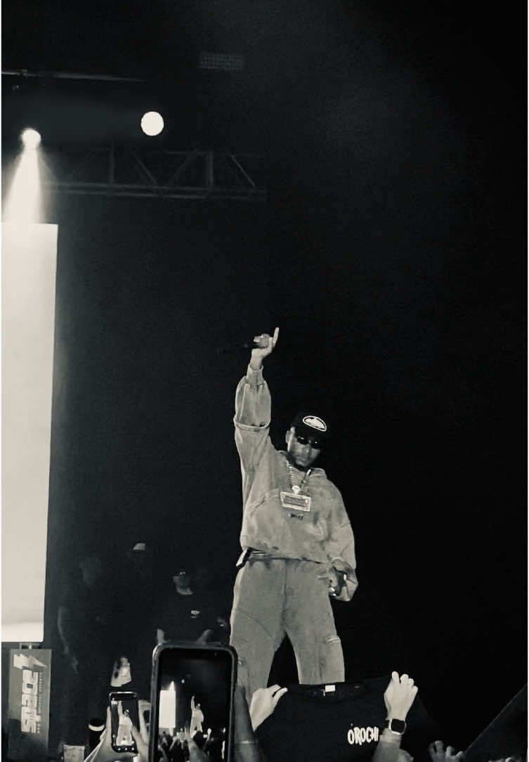 celebridade 🐦‍🔥 #orochi #celebridade 